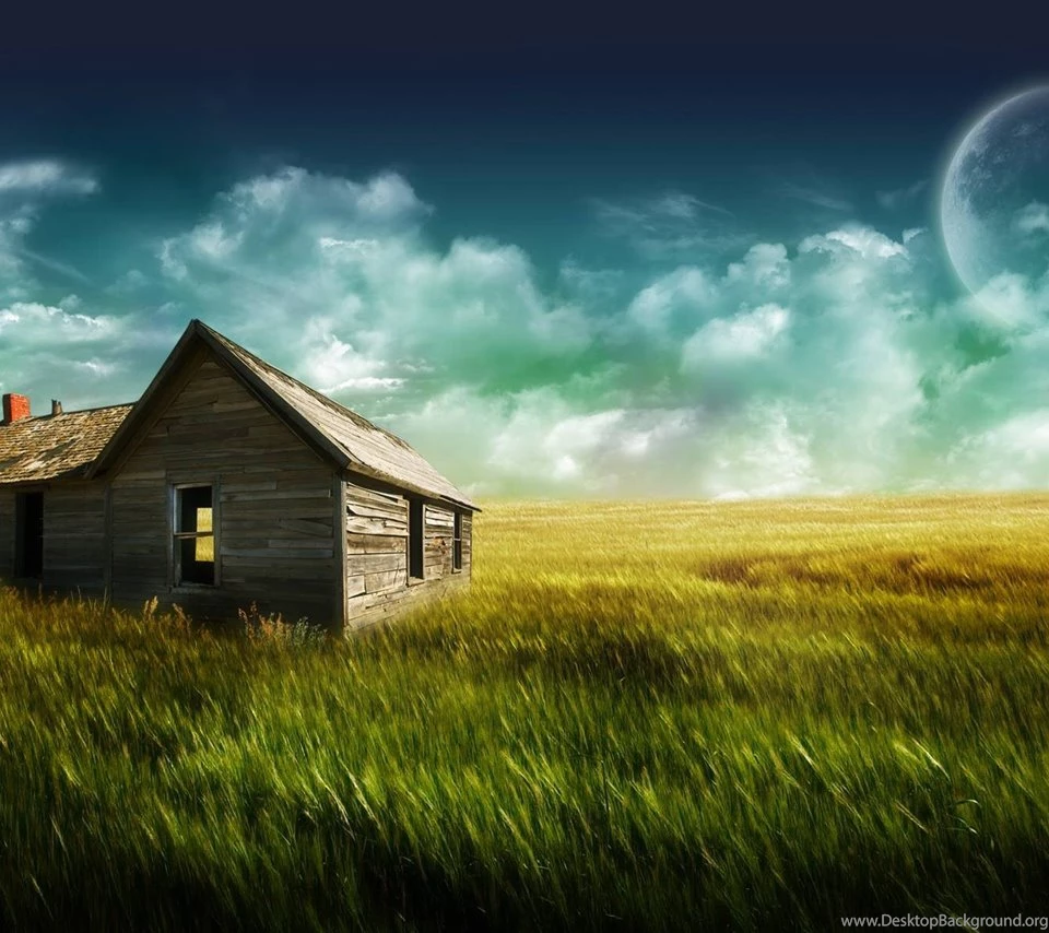 Android Phone Wallpapers