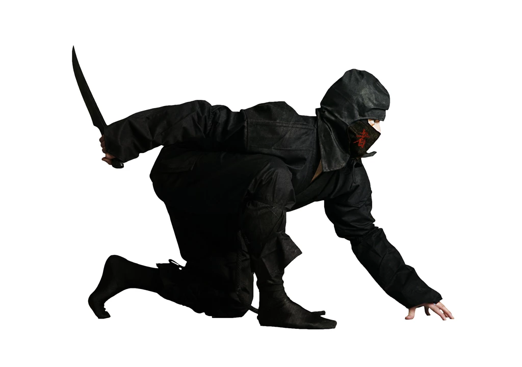 Tail Time (Image Manipulation)