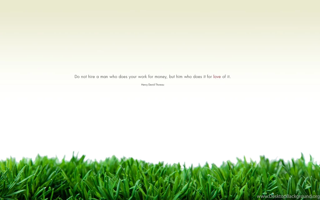 Custom, David, Wallpaper, Desktops, Images, Shiki, Brave, Openbox ...