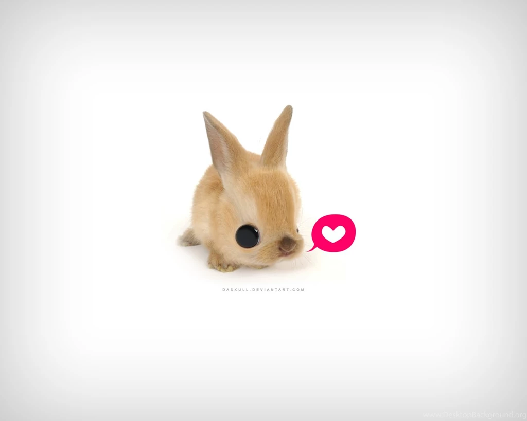 Cute Wallpapers A0   HD Wallpapers