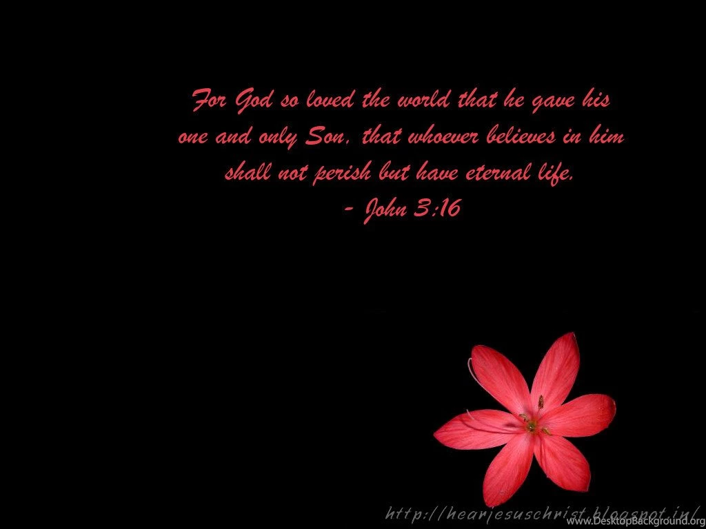 Pic New Posts: Wallpapers John 3 16