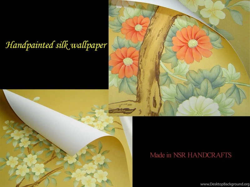 Pakistani Cricket Players 2012: May 2012