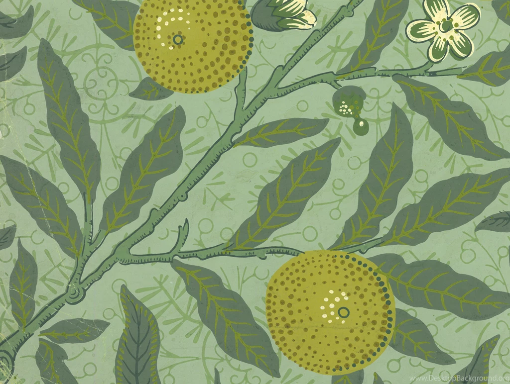 Friday Gem From The Stoddard – Templeton Design Archive: Sanderson ...