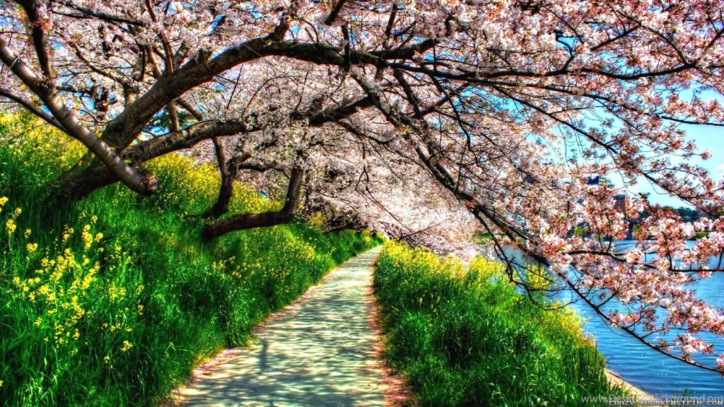 Spring Nature Wallpapers HD