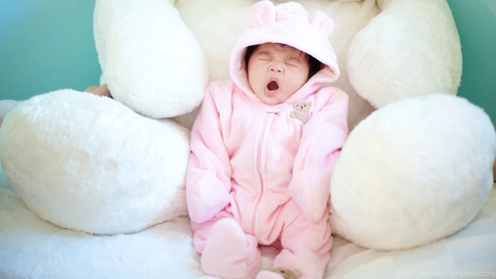 Funny Cute Widescreen Wallpapers Nekeran.com