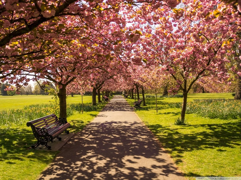 22+ Spring Nature Wallpapers, Backgrounds, Images