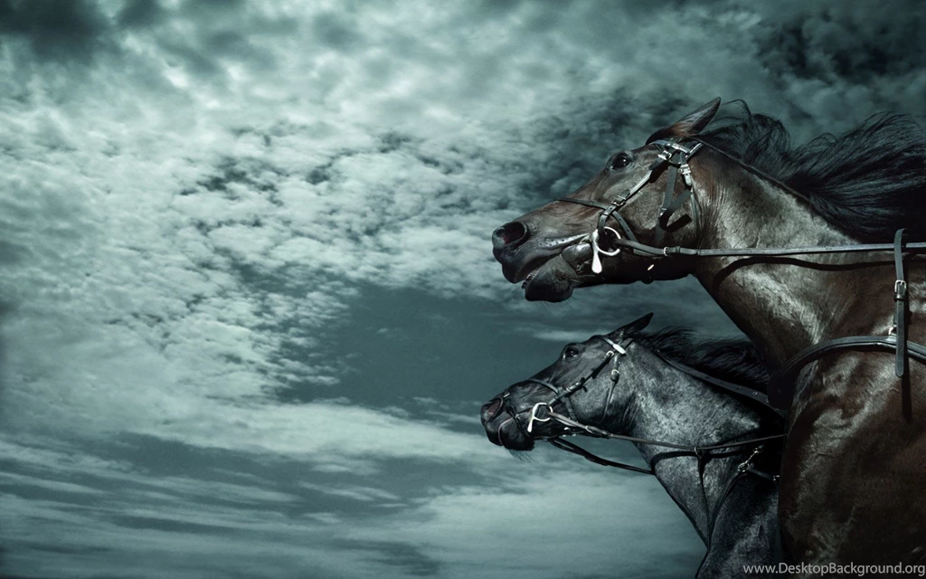 Horse Computer Wallpapers, Desktop Backgrounds
