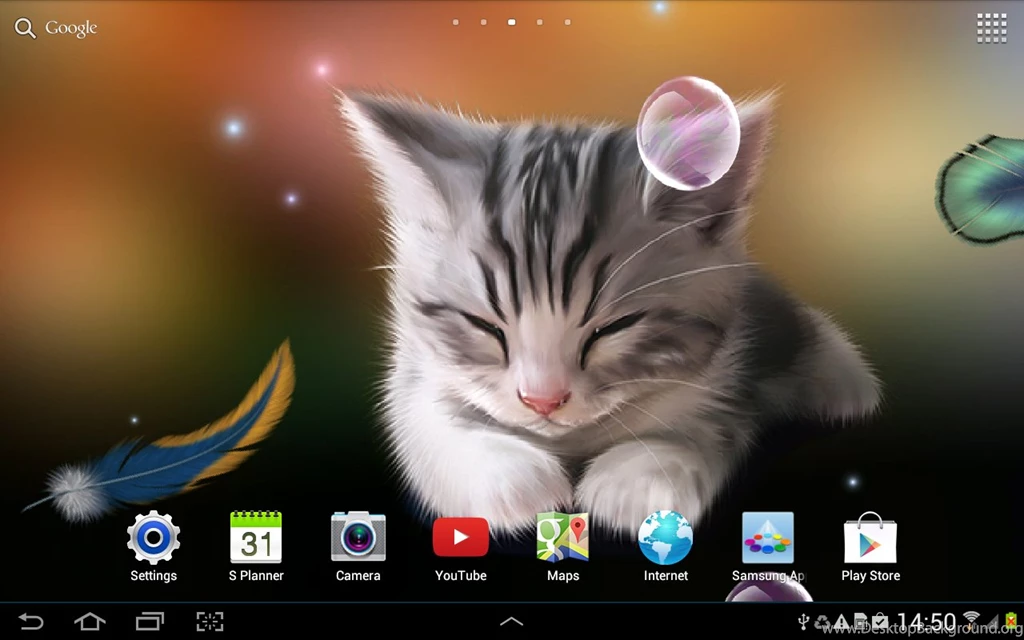 Sleepy Kitten Wallpapers Lite   Android Apps On Google Play
