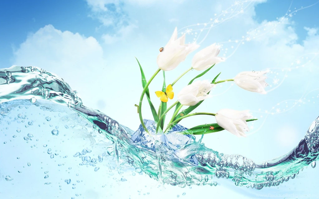 Water Wallpapers HD