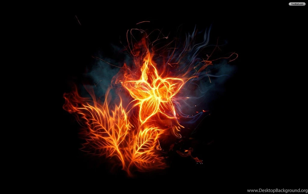 YouWall   Fire Flower Wallpapers   Wallpaper,wallpapers,free ...