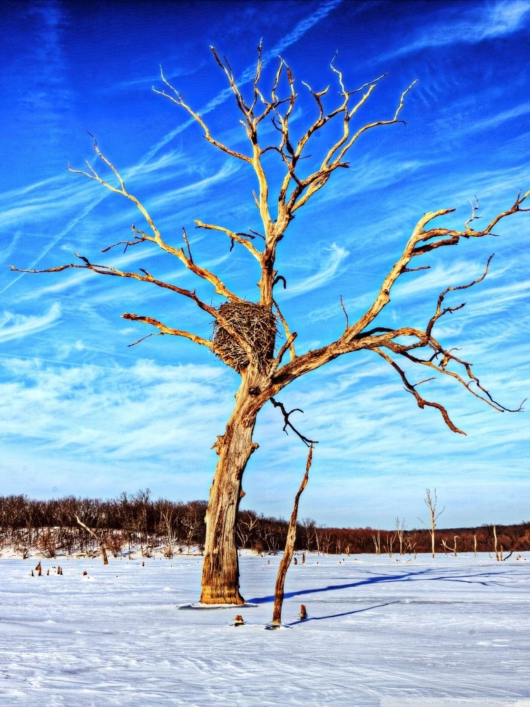 Natural Sundial HD Desktop Wallpapers : Widescreen : High ...