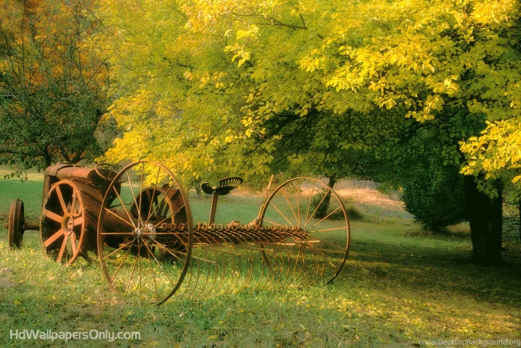 Nature Wallpapers For Mobile HD   Wallpapers Zone