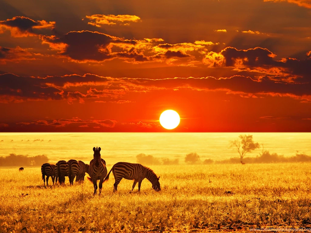 Savanna Wallpapers   Wallpapers Zone