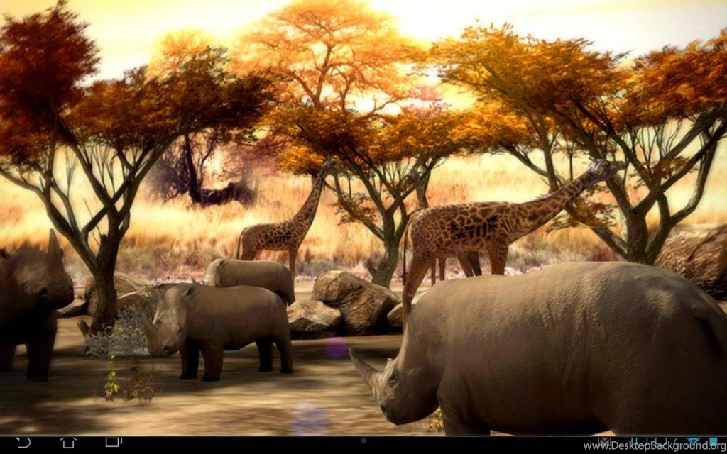 Africa 3D Free Live Wallpapers Android Apps On Google Play