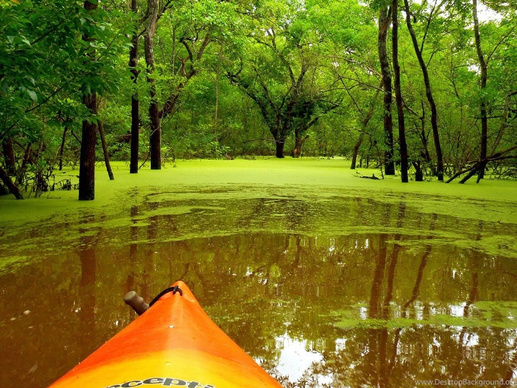 Download Free Nature Wallpapers