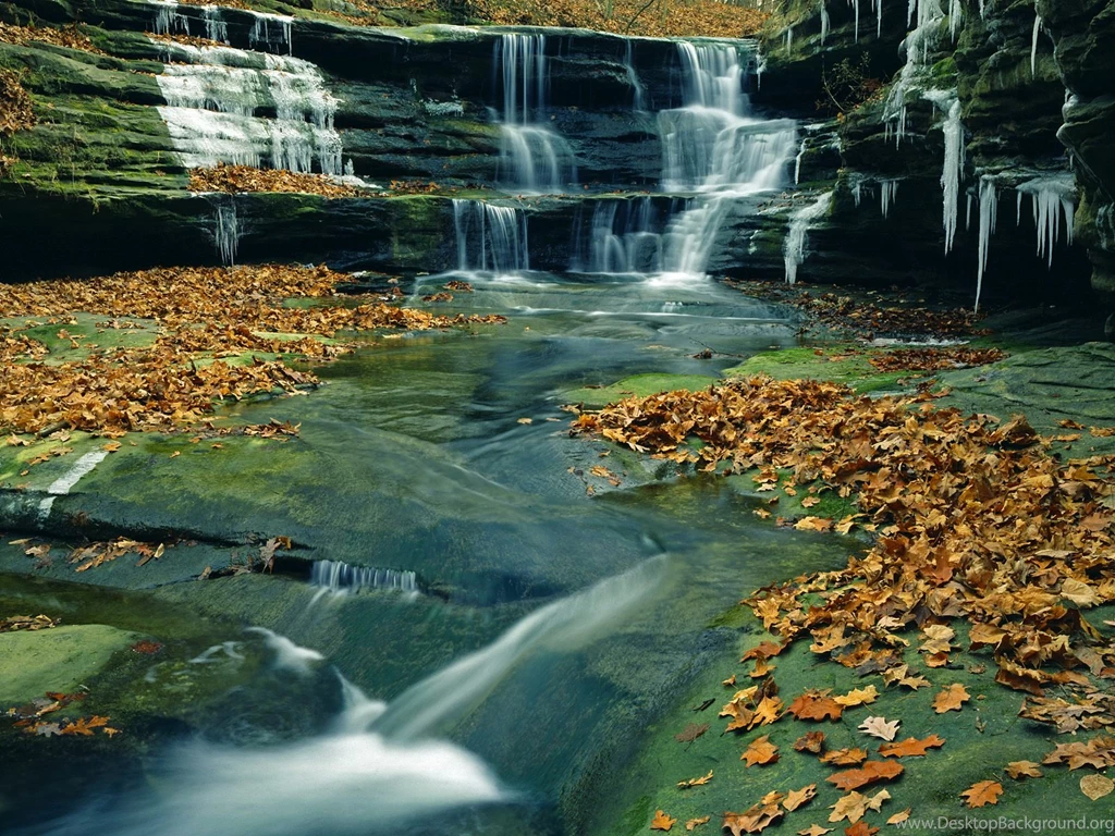 Animated Beautiful Nature Wallpapers Wallpapers HD Base