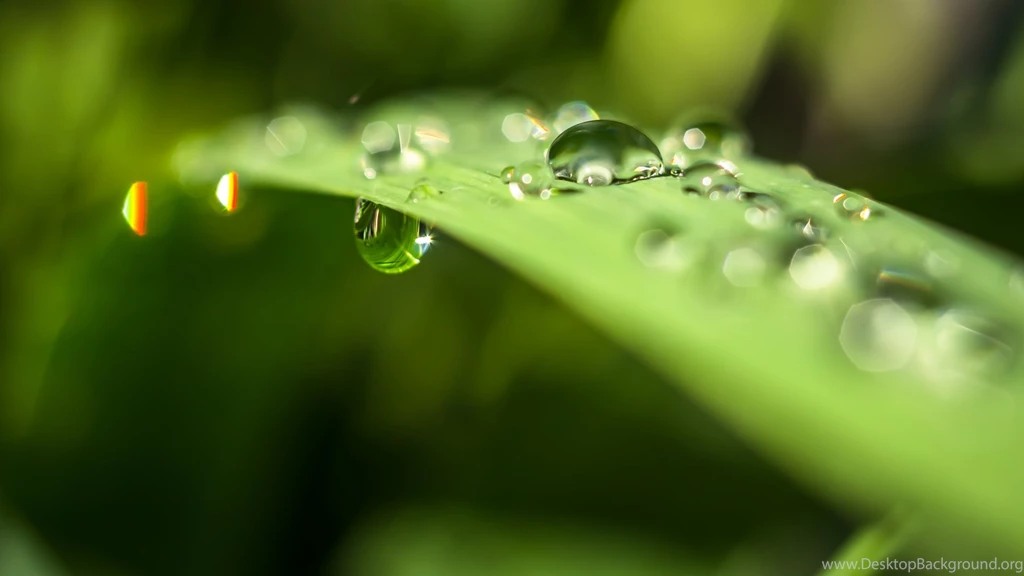 1920x1080 HD Wallpapers