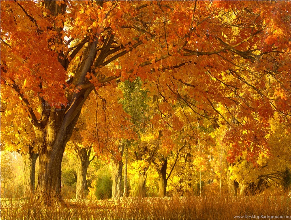 Fall Season Wallpaper Images
