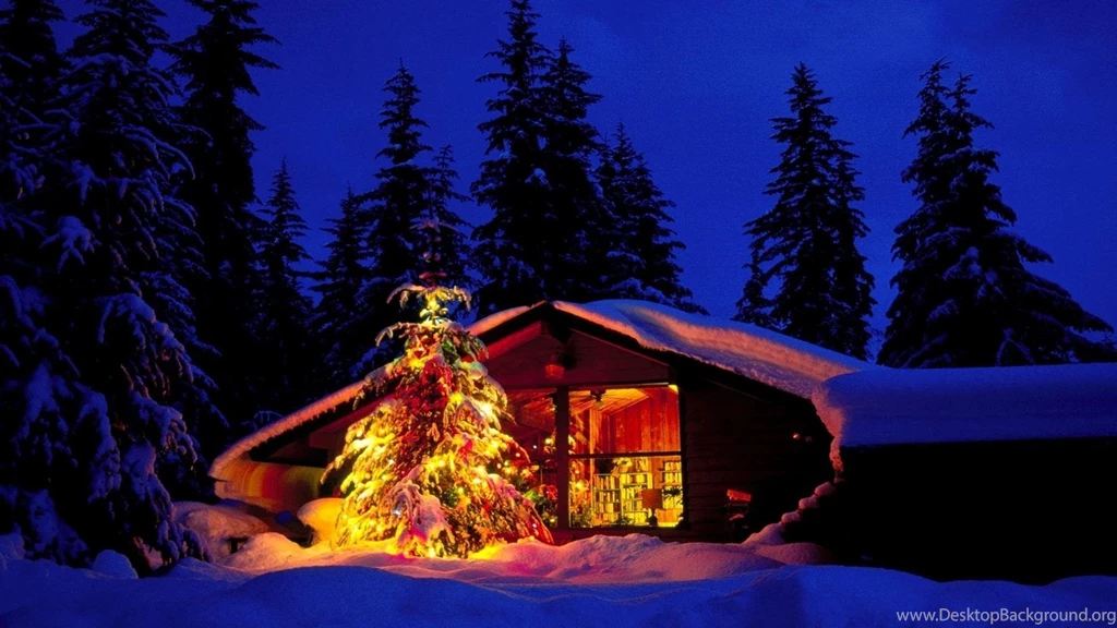 Christmas Winter Tree HD wallpapers