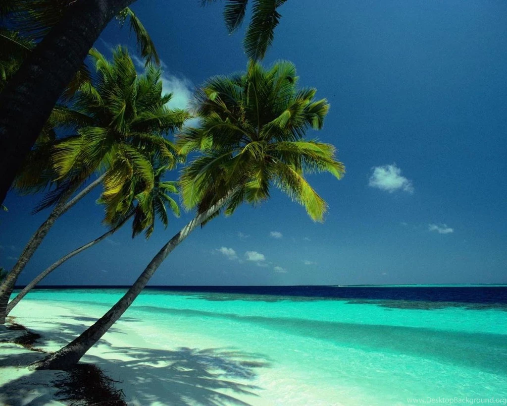 Wallpapers And Screensavers Widescreen HD Wallpapers