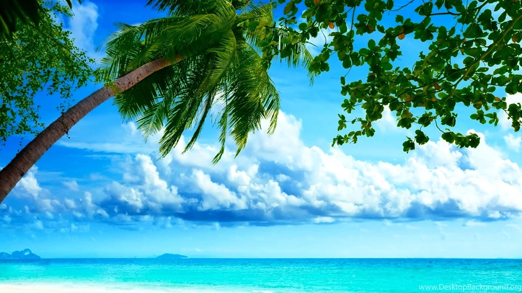 Beautiful Wallpapers Screensavers Collection (37+)