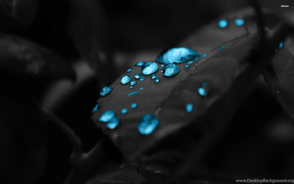 Water Drop On Leaf Hi Res Wallpapers