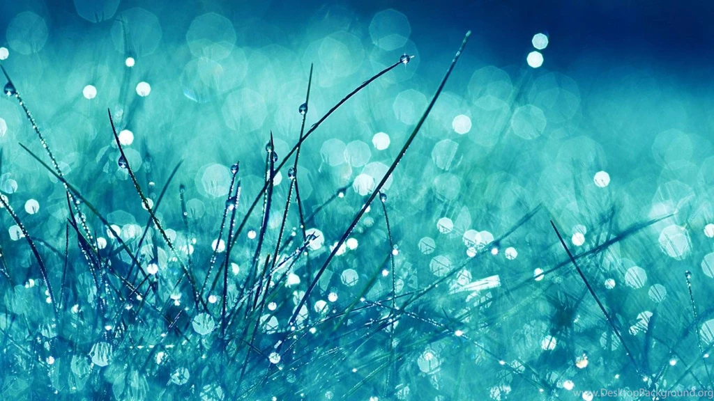 Wallpapers Water Drops Nature Grass Dew Macro Free Hd 1366x768 Wallpapers Water Drops Nature Grass Dew Macro Free Hd 1366x768 Desktop Background