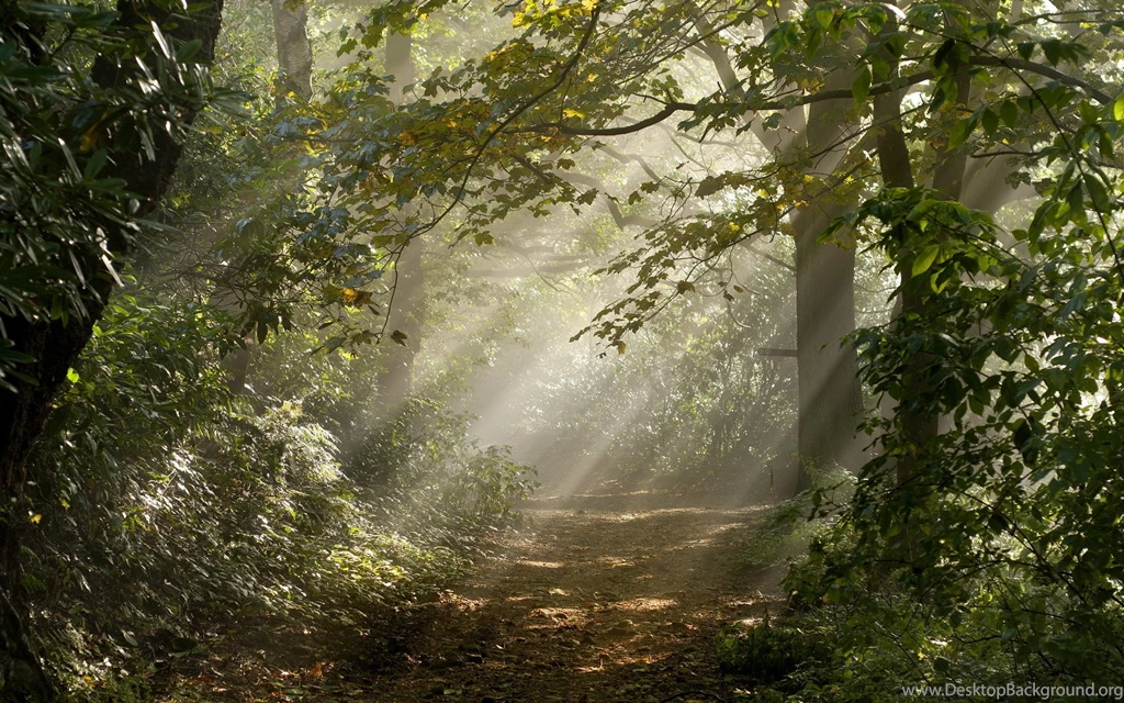 Sunbeam Computer Wallpapers, Desktop Backgrounds