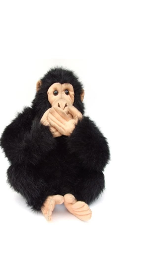 Monkey Chess Animal iPhone Wallpapers, iPhone 5(s)/4(s)/3G Wallpapers