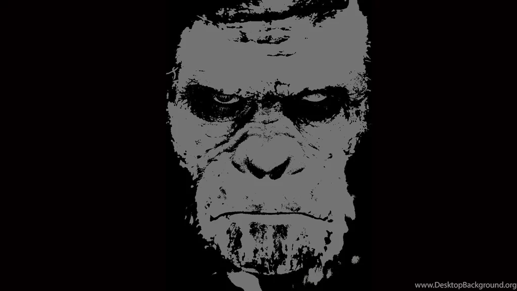 THE HANGOVER PART II Monkey Wallpapers