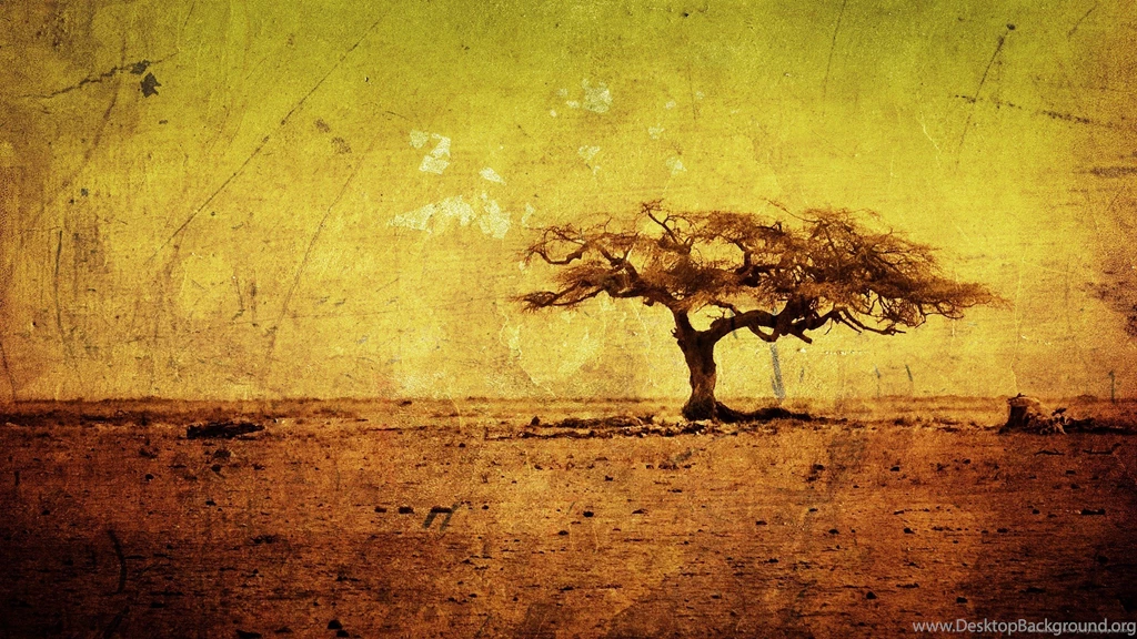 Download 2560x1440 African Tree Illustration Wallpapers