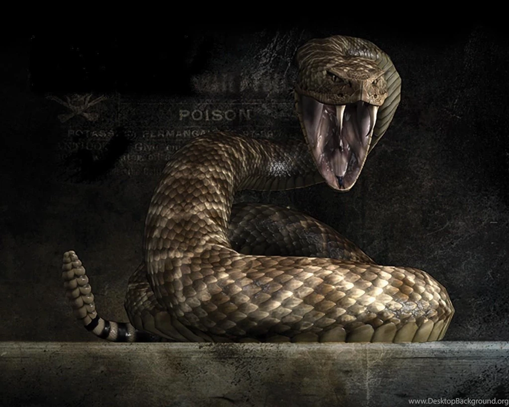 Snakes Wallpapers Hd Http://3.bp.blogspot.