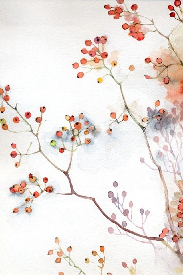 Illustration Of Red Berries iPhone 4s Wallpapers Download