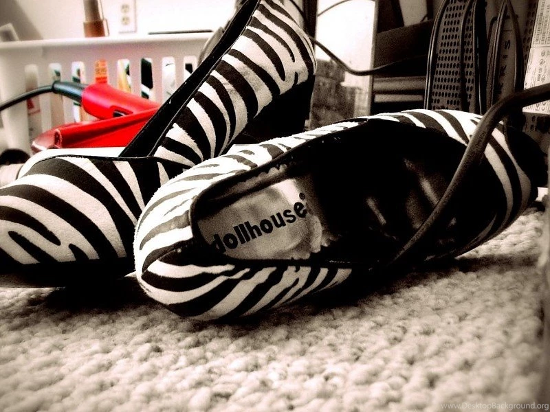 Zebra Print High Heels In Shoes Wallpapers Free Desktop Backgrounds ...
