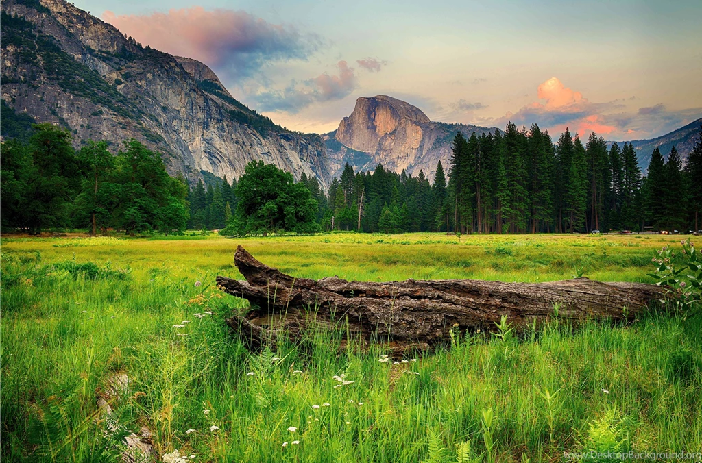Mountains Trees Landscape Wallpapers