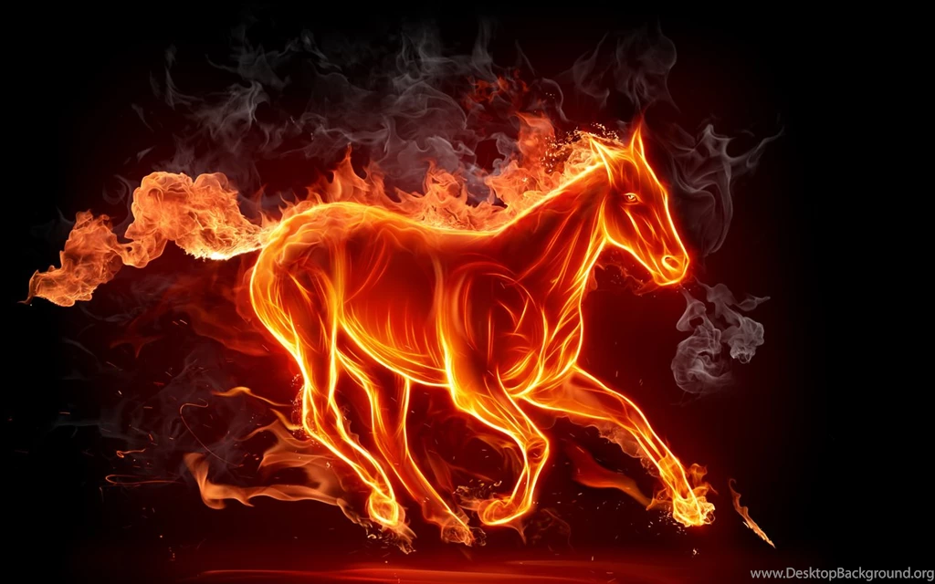 Cool Animal Pictures Collection (44+)