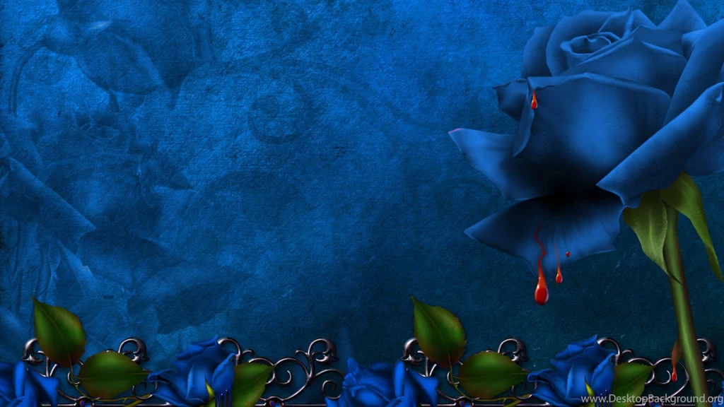 Beautiful Purple Rose Pearl Wallpapers, Rose Flower Images, Rose ...