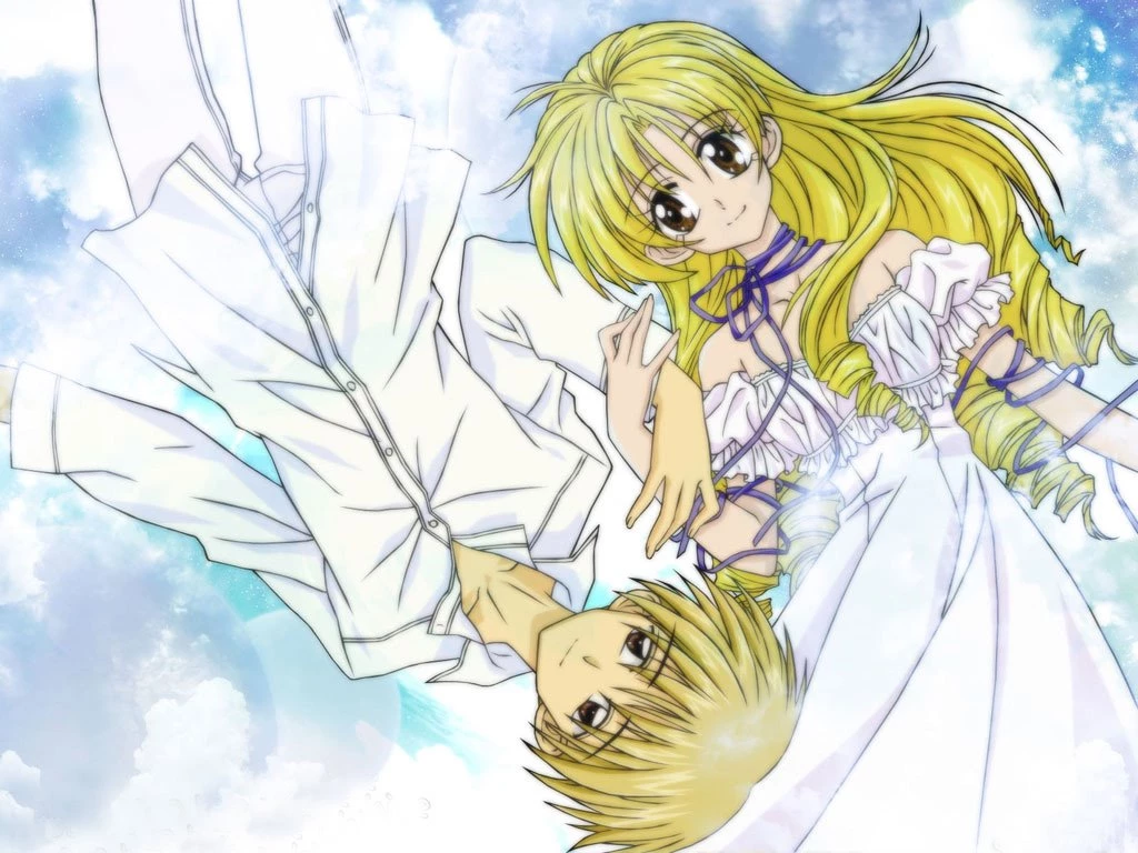 Pic New Posts: Wallpapers Wedding Couple