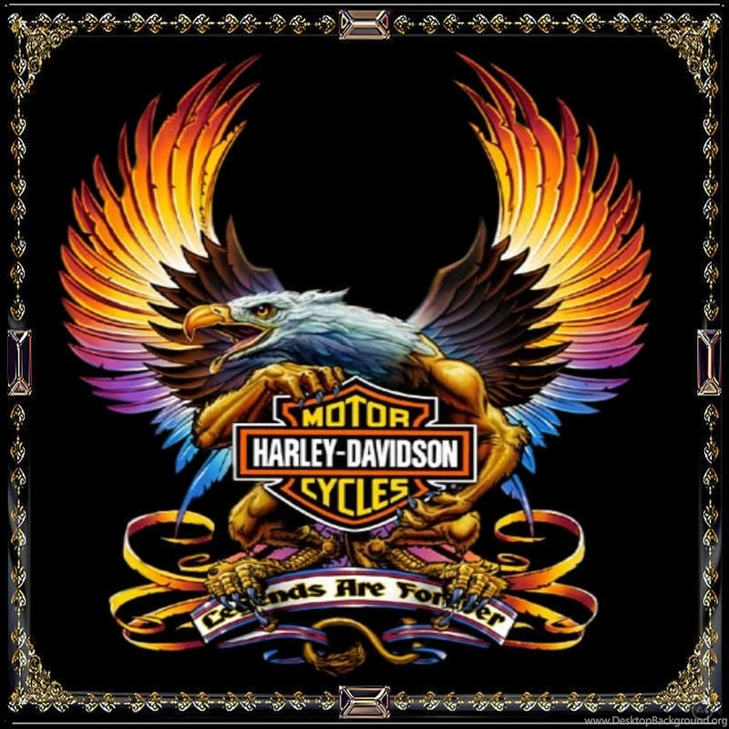 Harley Davidson On Pinterest