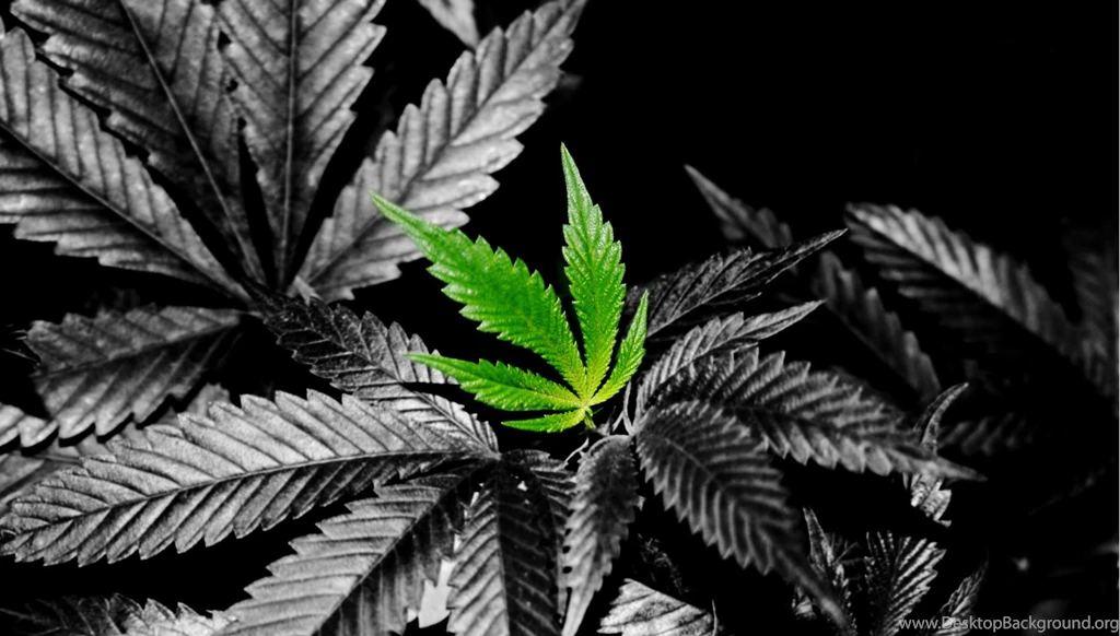 Marijuana Wallpapers