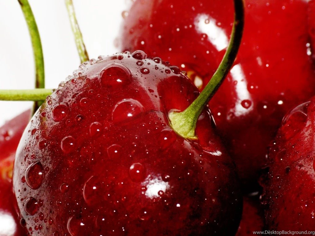 Photography   Page 311