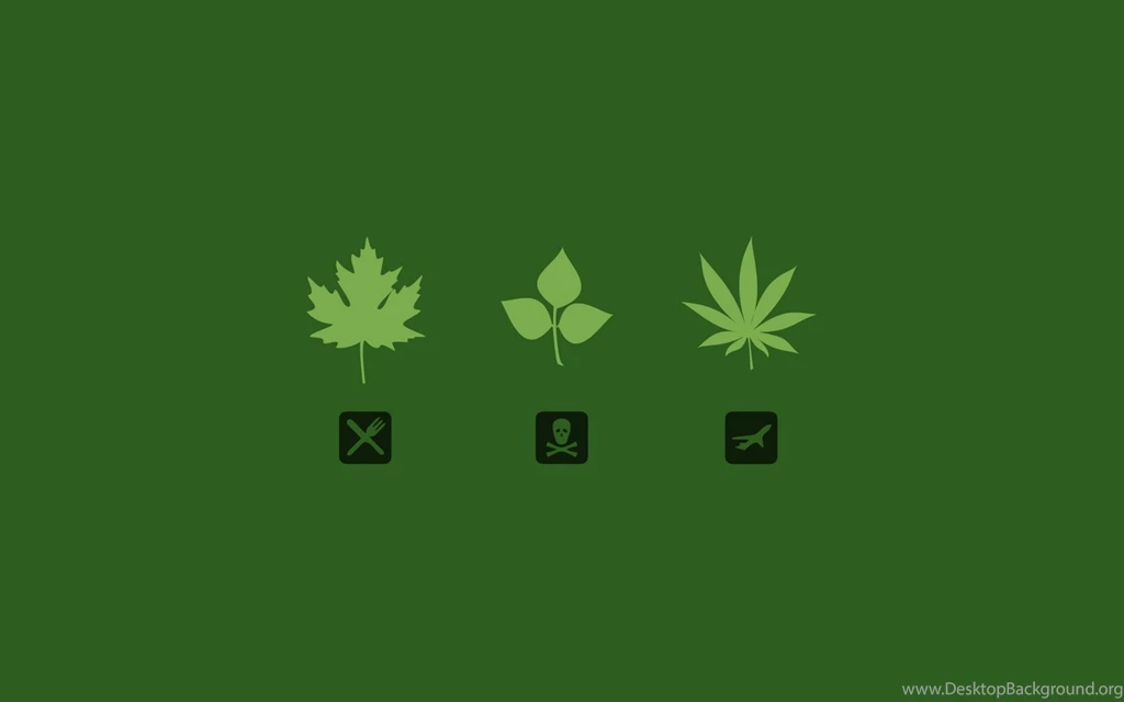 Find Best Wallpapers: Paper Dump: 420 Marijuana Dump