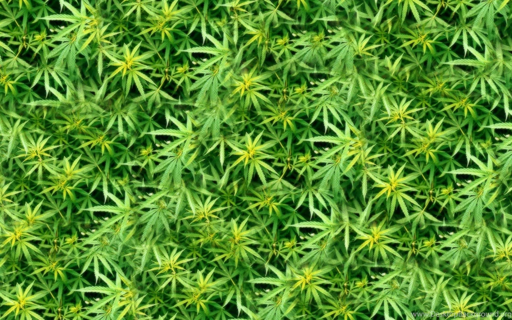 Marijuana Weed 420 Ganja Y Free Desktop Backgrounds And Wallpapers