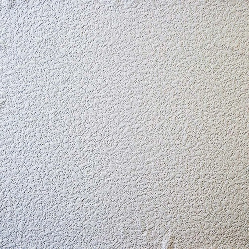 Paintable Wallpapers Raised Stucco Look 497 96299   Papermywalls.com