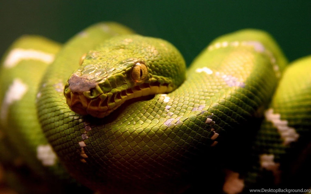 UNeedAllinside: 40 Amazing Nature Wallpapers Download Free