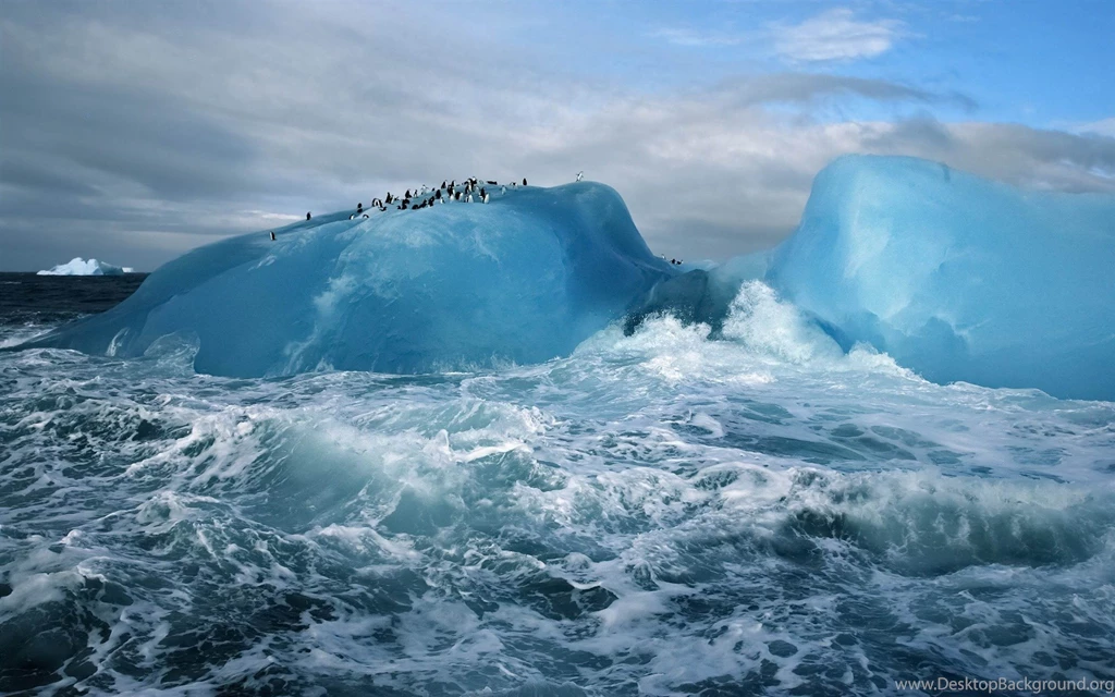 South Sandwich Islands Penguins MAC OS X Mountain Lion HD ...