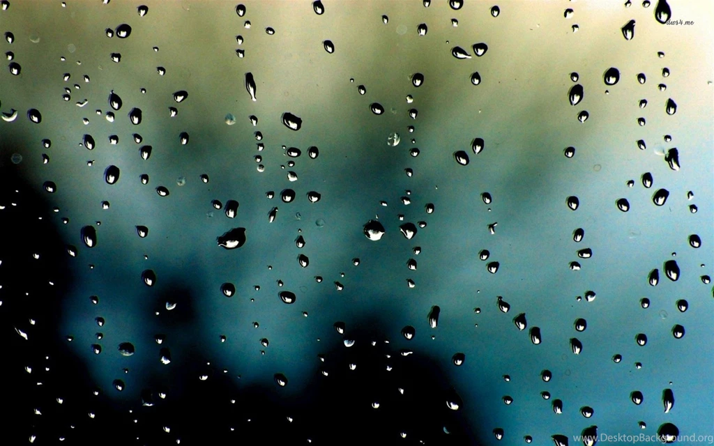 Rain Drops Wallpapers Widescreen HD 7953 HD Wallpapers Site