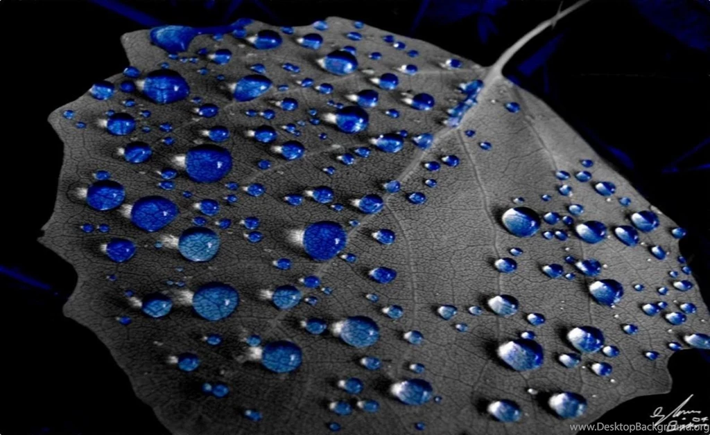 BLUE RAIN DROPS WALLPAPER   (