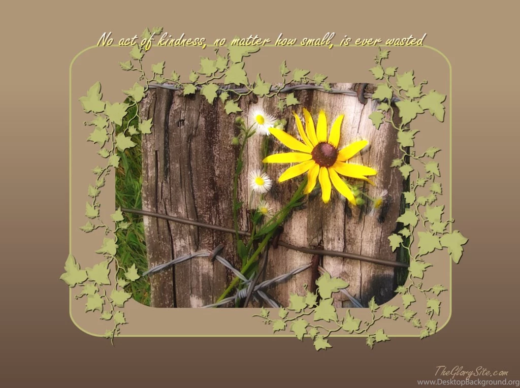 Trololo Blogg: Inspirational Wallpapers