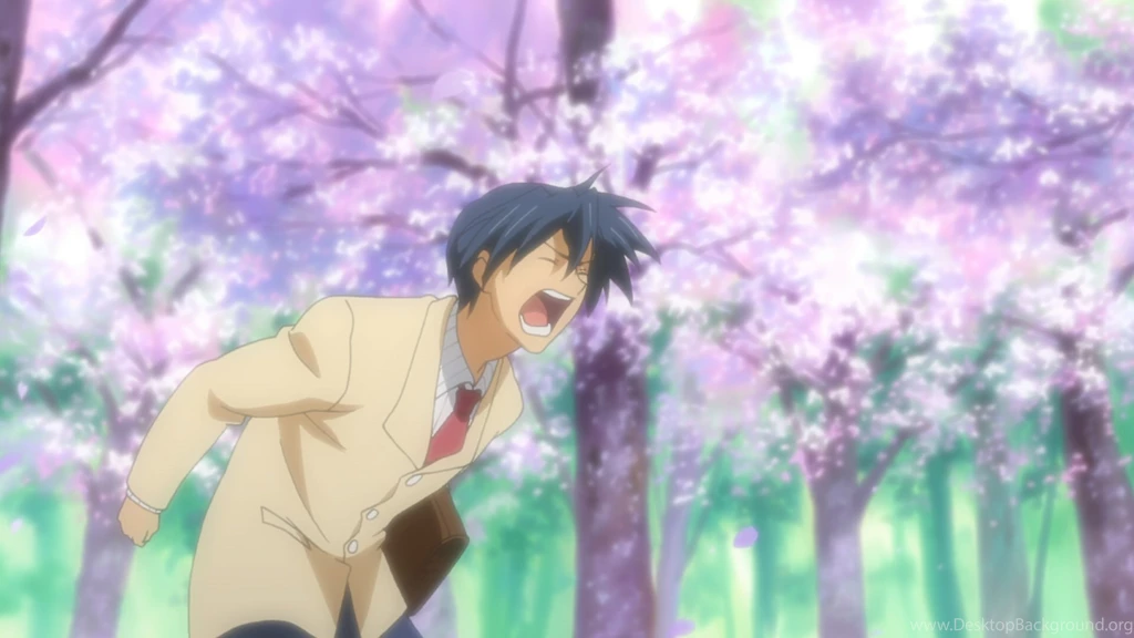 Clannad After Story Blu Ray Box Final Review – Ultimatemegax's Blog